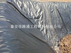 沼氣池防滲膜吹塑工藝：創(chuàng)新之路，守護(hù)綠色能