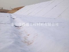 智馭自然之力：透水土工布使用注意事項(xiàng)新視角