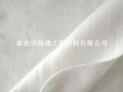 丙綸土工布未來發(fā)展趨勢：創(chuàng)新與環(huán)保的雙輪驅